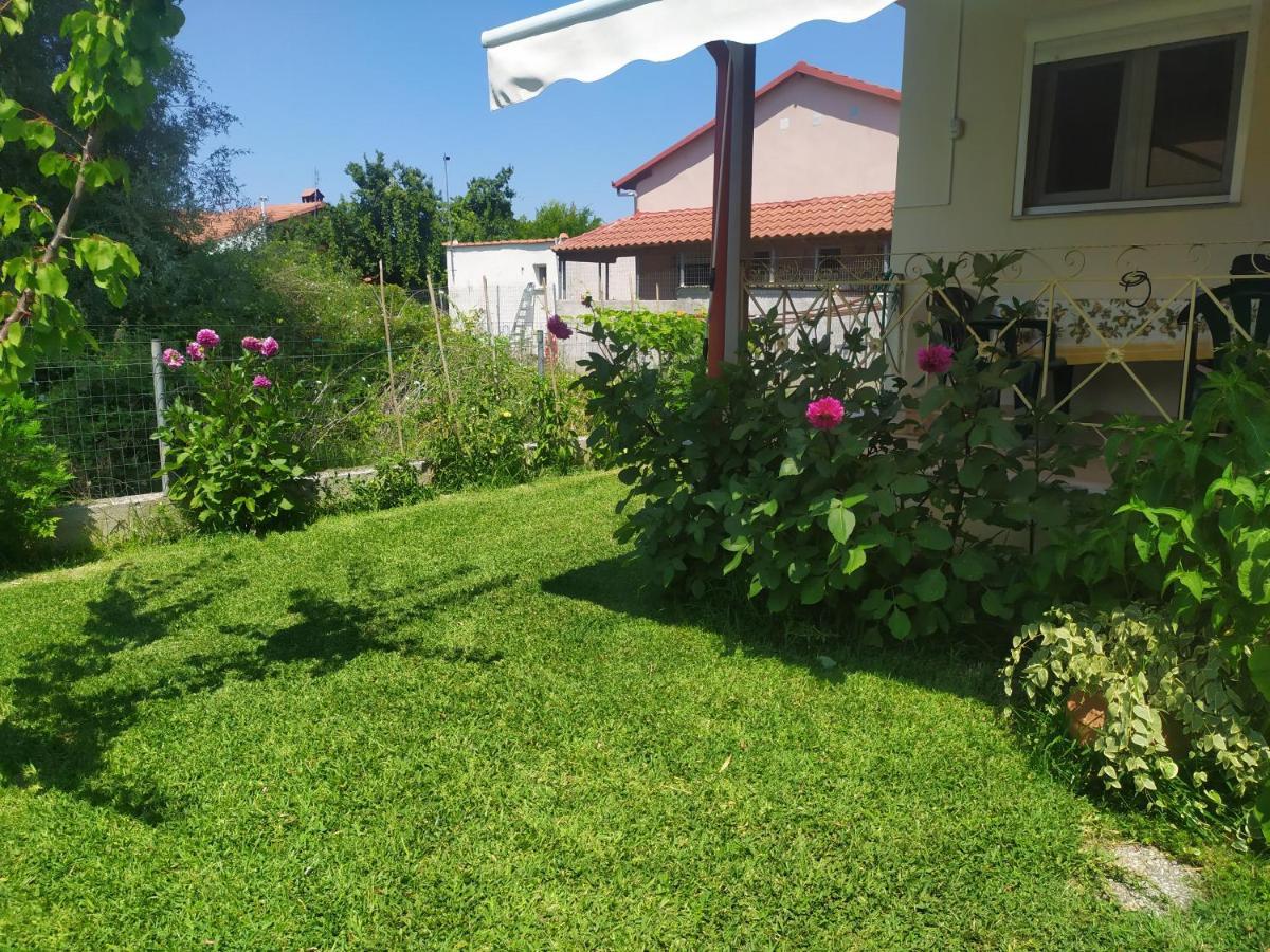 Ioannis Seaside Villa Leptokarya  Exteriör bild